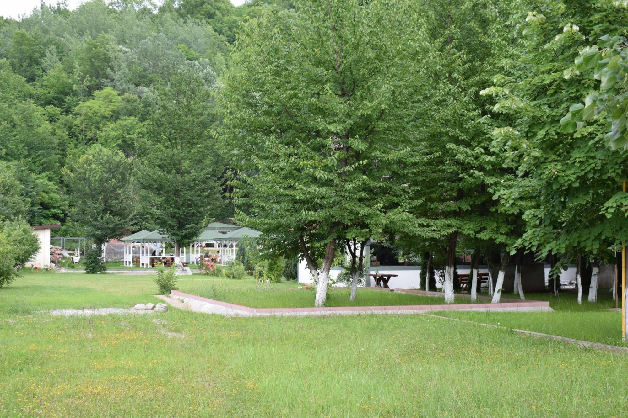 Pensiunea Arido Cornu de Jos Exterior photo