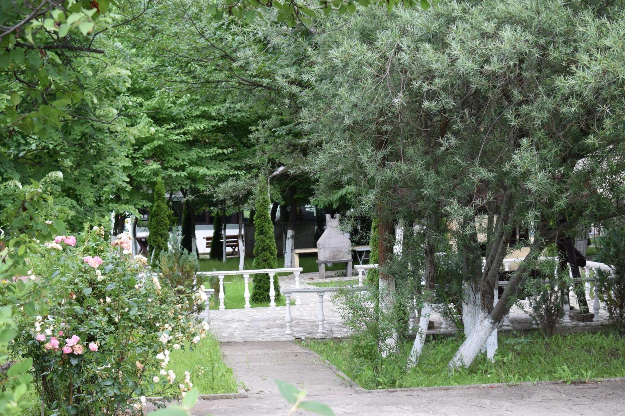 Pensiunea Arido Cornu de Jos Exterior photo